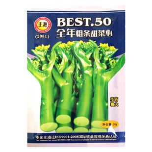 全年粗条甜菜心种子 四季速生香甜芥兰菜苔种籽 菜园农家蔬菜孑