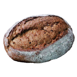 黑森布克德国黑裸麦微酸可切片代餐饱腹粗粮0蔗糖手工骑士大面包