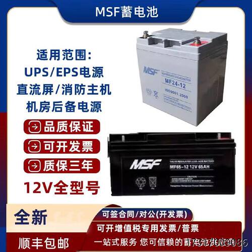 MSF蓄电池MF12V17A24A38A40A65A100A机房直流屏备用UPSEPS电源