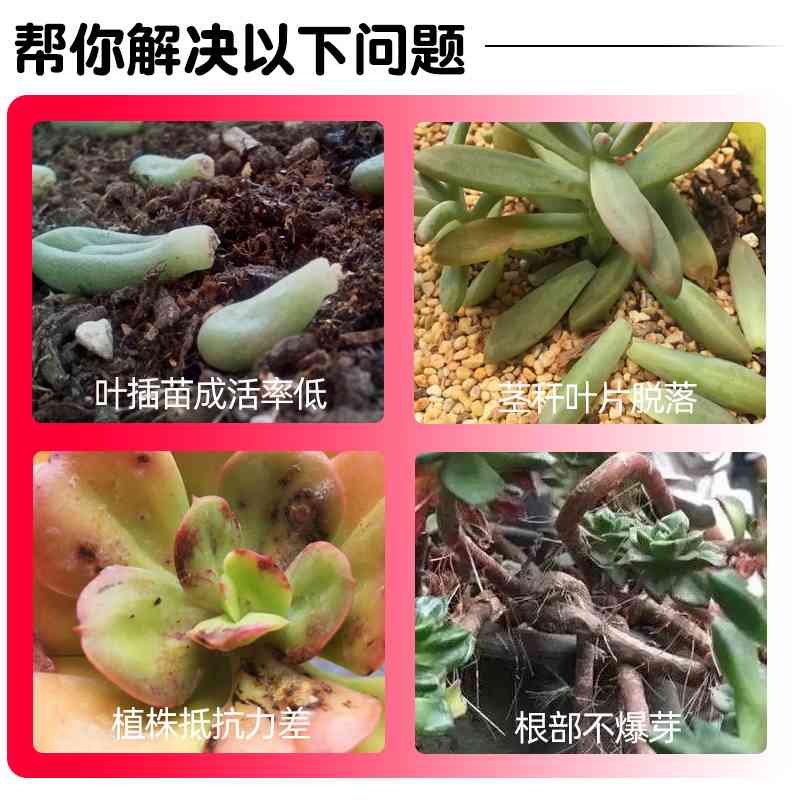 爆芽素多肉专用花肥料营养液优芽素促多头发芽催芽促进生根通用型