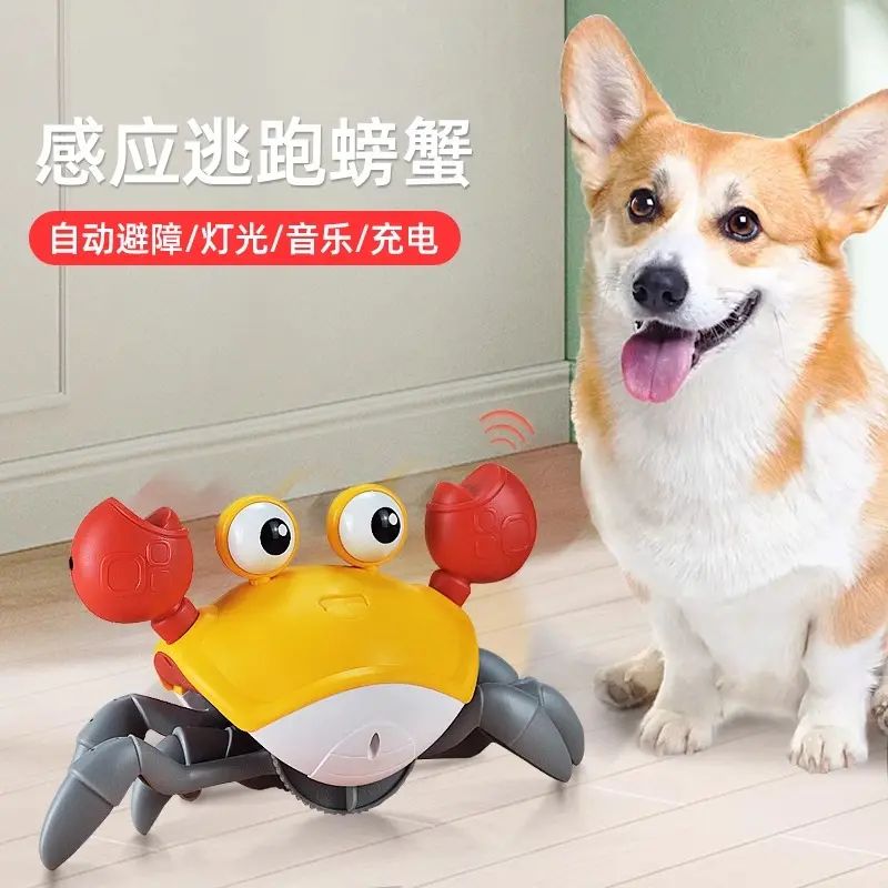 狗狗发声玩具宠物自动逗狗神器小狗幼犬解闷自嗨泰迪比熊消耗体力