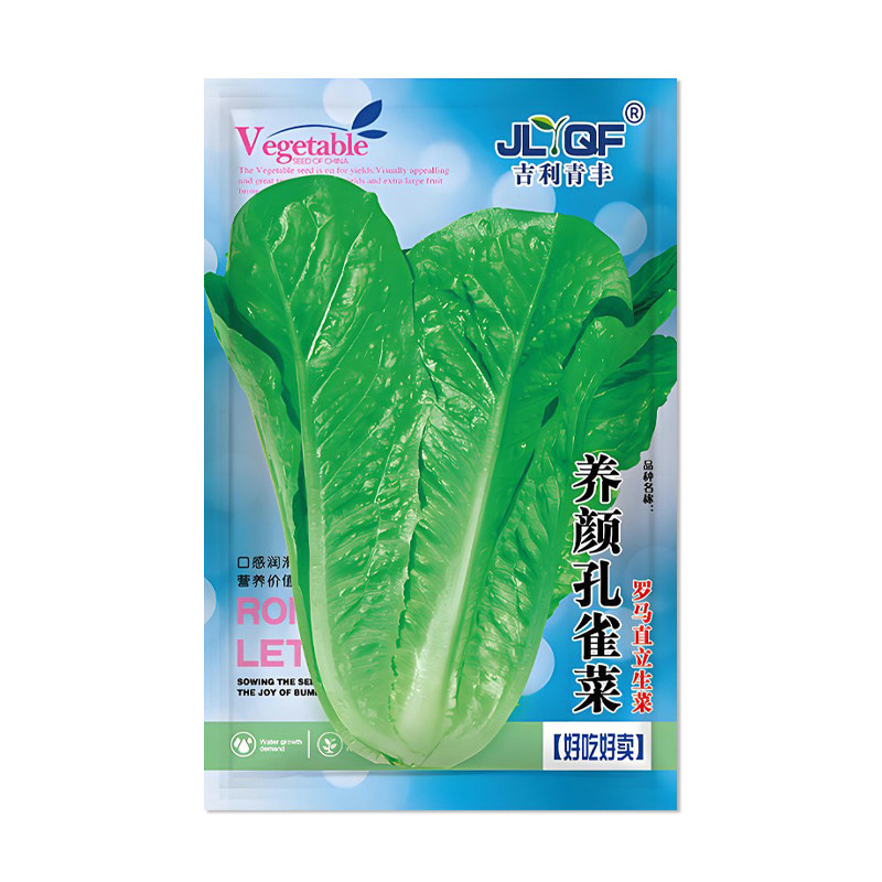 吉利青丰美颜孔雀菜种子