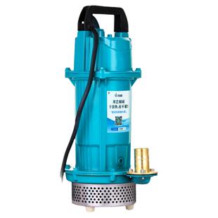 水泵农用灌溉直流潜水泵电动车48v60v高扬程抽水泵无刷电瓶抽水机