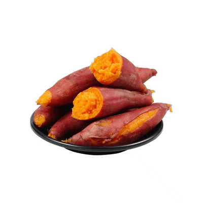 红薯种子西瓜红蜜薯红心红薯蜜薯沙地红心地瓜育苗番薯新鲜糖心