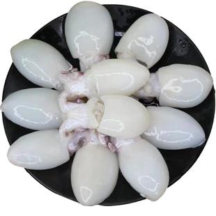 顺丰速运 冷冻大号墨鱼仔500g 6-9只装去皮去脏 海捕小乌贼目鱼仔