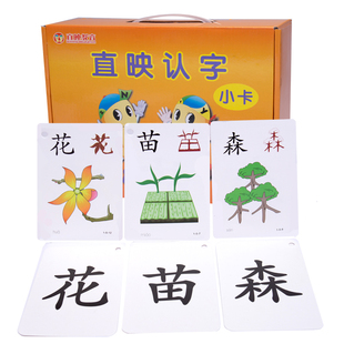 直映认字正版教材卡片有图识字卡幼儿童0-3-6岁早教启蒙认字卡