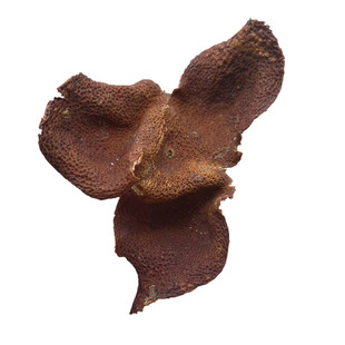 2019年正宗新会梅江圈枝陈皮茶枝柑陈皮干天马茶坑大红皮新皮2斤