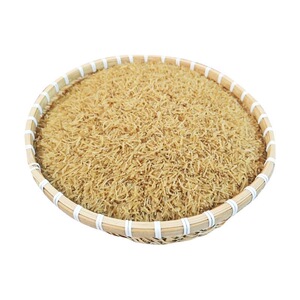 红薯碎粉条包包子专用细粉