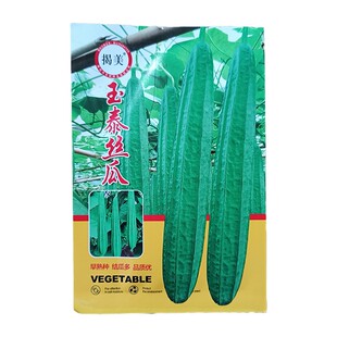 棱角大肉丝瓜种子花点阳台菜园盆栽庭院蔬菜种孑四季春季