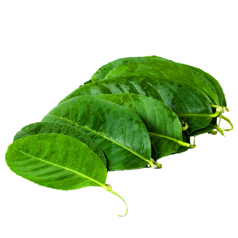 新鲜柠檬叶物美价廉冬阴功香料