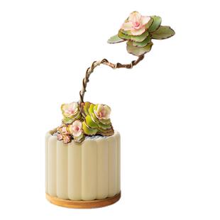 锦绣牡丹多肉植物盆栽造型老桩小盆栽绿植办公室工位桌面女生礼物