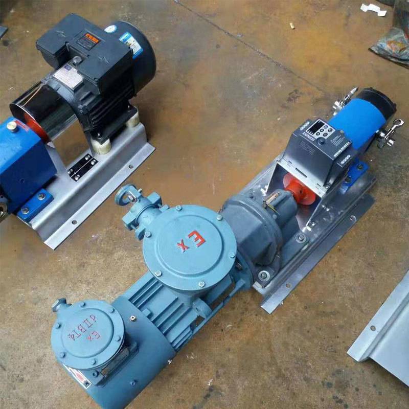 不锈钢凸轮转子泵  食品化妆品输送泵3RP凸轮转子泵 高粘度转子泵