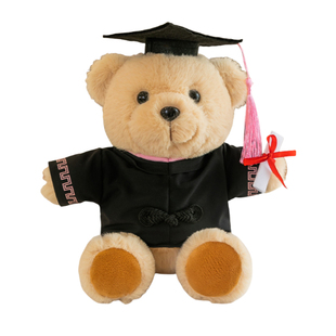 博士熊公仔学士服小熊娃娃毕业熊玩偶幼儿园大学毕业礼物定制logo