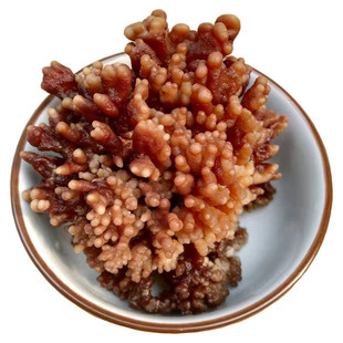 猫爪菇珊瑚菌干货500g农家特产龙爪菇蘑菇鹿茸菌食用菌土特产包邮