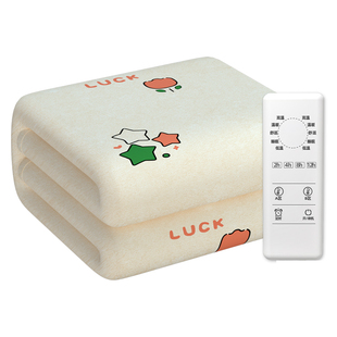 2025新款电热毯单双人电褥子双人双控调温学生宿舍正品官方旗舰店