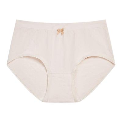 68内裤女秋中腰简约包臀三角裤