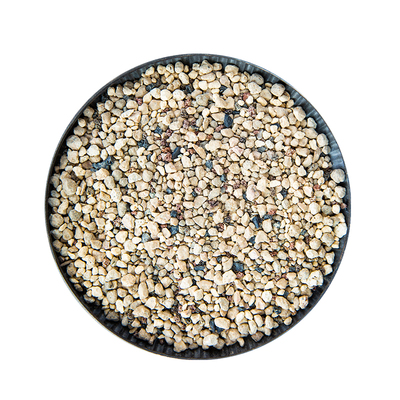 多肉专用营养土精植易发花陌派