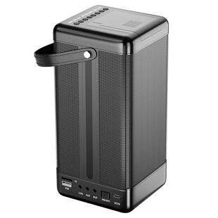 雷登广场舞音响户外k歌蓝牙音箱超重低音炮便携式带无线话筒