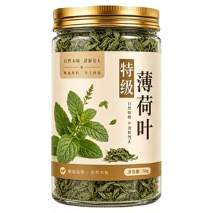 薄荷叶新鲜特级食用清火降热食用薄荷茶叶干泡茶包中药材清凉提神