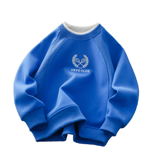 男童卫衣2026新款春秋款儿童时尚假两件圆领衫中大童春装时髦上衣