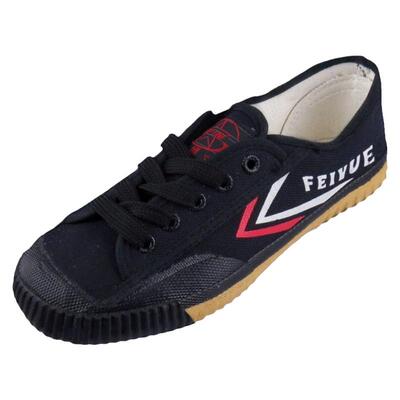 飞跃大博文武术小白鞋体育考试