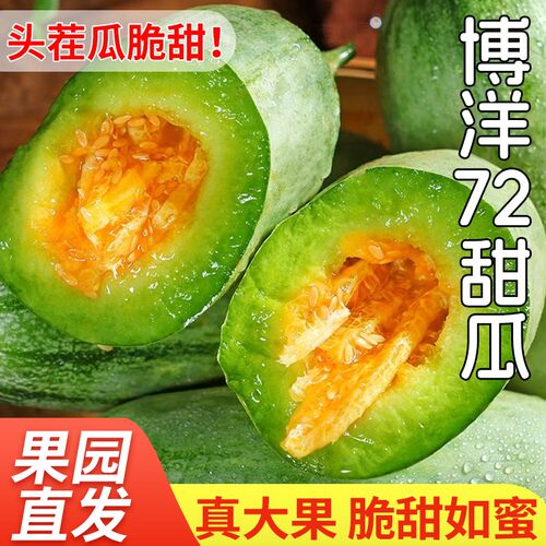 博洋72山东正宗头茬博洋72蜜瓜酥脆香甜现摘现发新鲜水果羊角蜜
