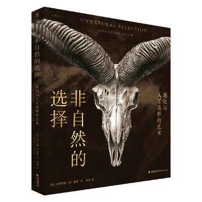 非自然的选择手绘骨骼标本插画