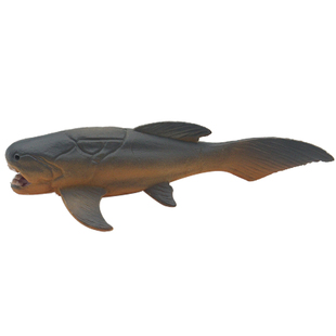 仿真远古海洋奇虾鹦鹉螺三叶虫菊石模型鲎角石玩具塑胶儿童科教育