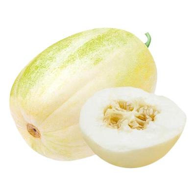 早熟杂交黄白大田亩产甜瓜种子