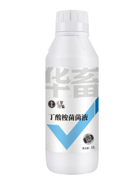 丁酸梭菌原液白便空肠空胃