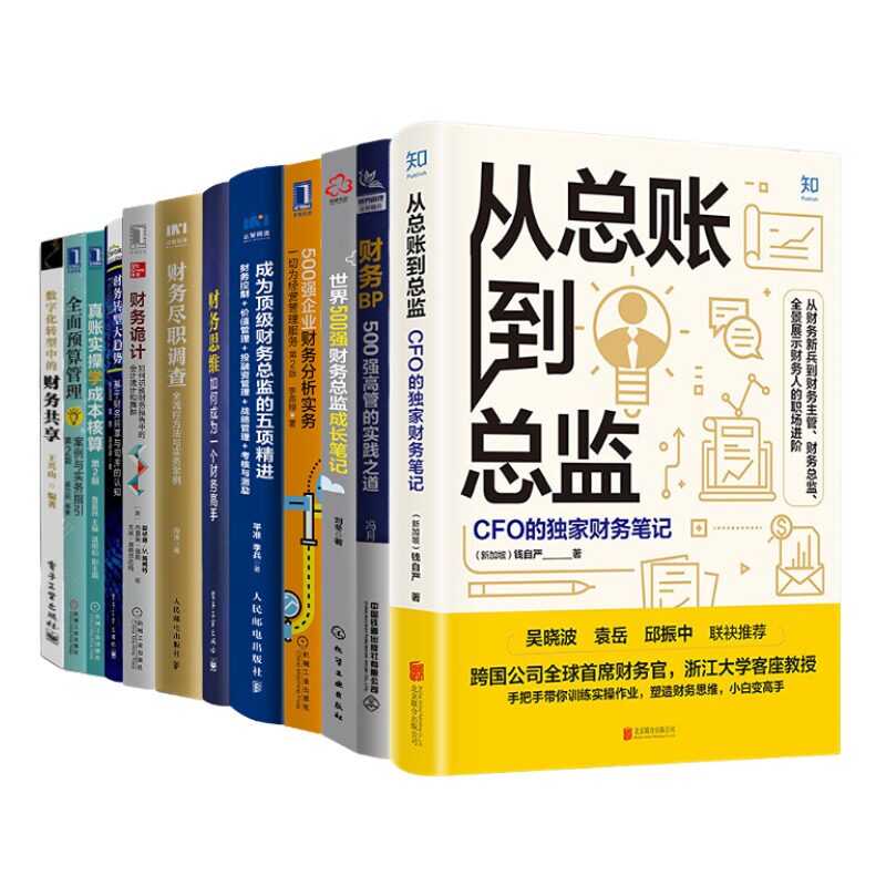 识干家精选财务总监12本套