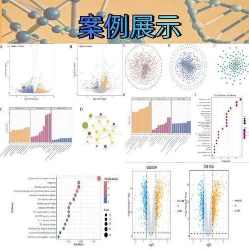 网络理学中复方分子对接物筛选服务