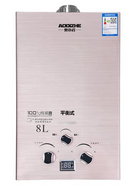 德国出口】平衡式燃气热水器家用天然气液化气煤气洗澡免水压室内