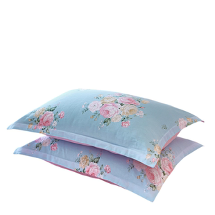 全棉枕套纯棉枕头套双人单人学生宿舍48x74cm成人枕芯套2只一对装