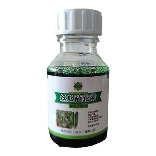 丝瓜点花药授粉药丝瓜蘸花素丝瓜鲜花王坐果拉直顶花防畸形裂果