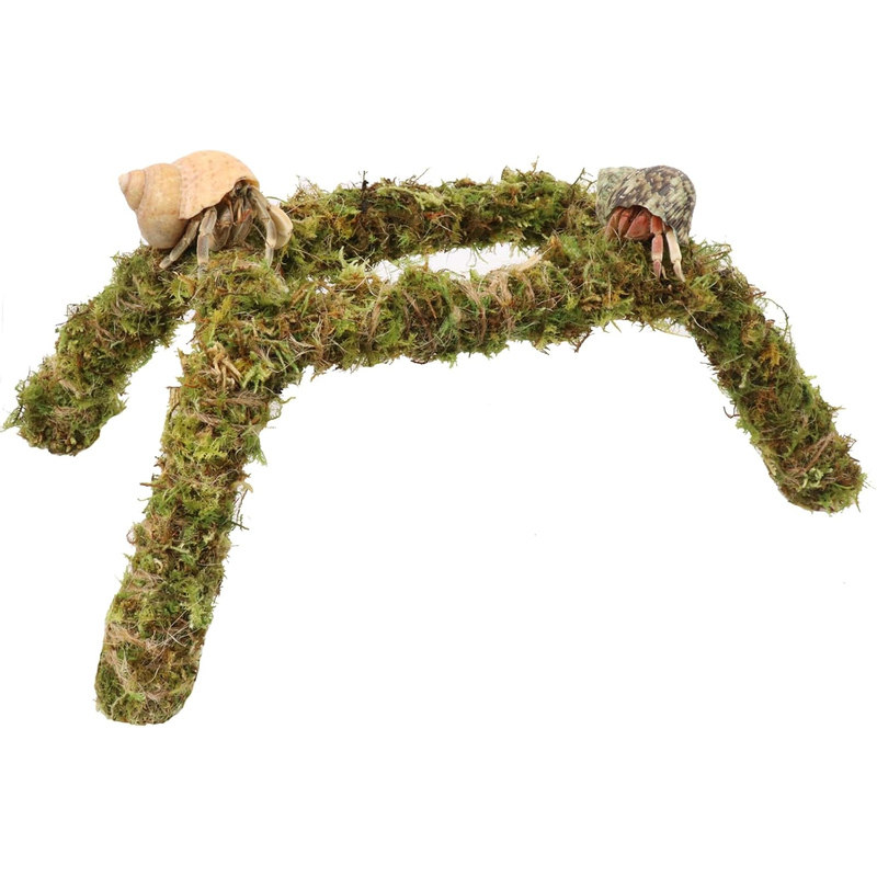 寄居蟹苔藓攀爬架守宫饲养箱摆件