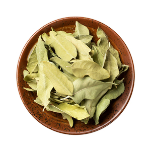 中药材 正品罗布麻 罗布麻叶 新疆野生罗布麻茶叶 新鲜干货500g克