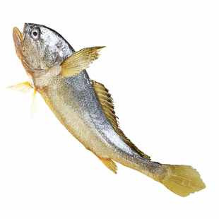 【裕鲜舫】净享系列 金玉满堂2588型