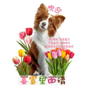宠物婚礼迎宾立牌抖音红书结婚订婚猫咪结婚迎宾卡通kt板摇头定制