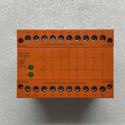 Edold & Sohne BN308163/61 Safemaster BN3081 PLC Processore