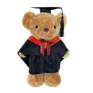 促销毕业公仔泰迪熊玩偶博士熊学士服订造硕士熊毕业熊毕业小熊