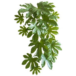掬涵八角金盘叶大型仿真绿植壁挂花艺插花工程装饰墙面绿植墙