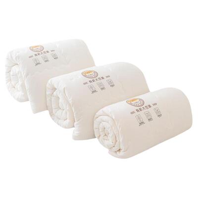 二合一双胎子母被冬被春秋被学生