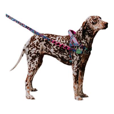 ZeeDog&Reebok锐步狗减震牵引绳