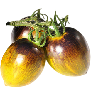 布拉德原子葡萄番茄种子甜蜜多汁抗裂野猪农场品种室内春秋盆栽