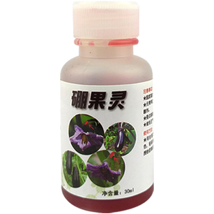 洛圣茄子硼果精灵点花授粉涂抹花梗提高座果科学喷施肥料果型美观