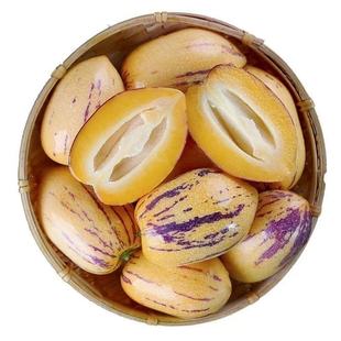 甘肃民勤沙漠人参果装新鲜大果肉当天采摘坏果包赔现摘现发