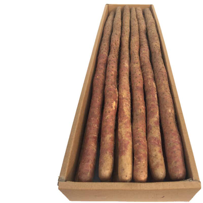 温县铁棍山药新鲜淮怀山正宗80cm