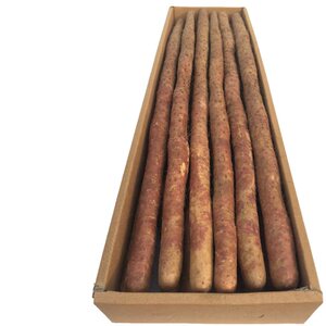 温县铁棍山药新鲜淮怀山正宗80cm