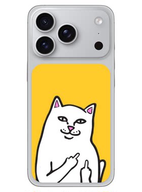 iPhone17Pro创意装饰局部贴